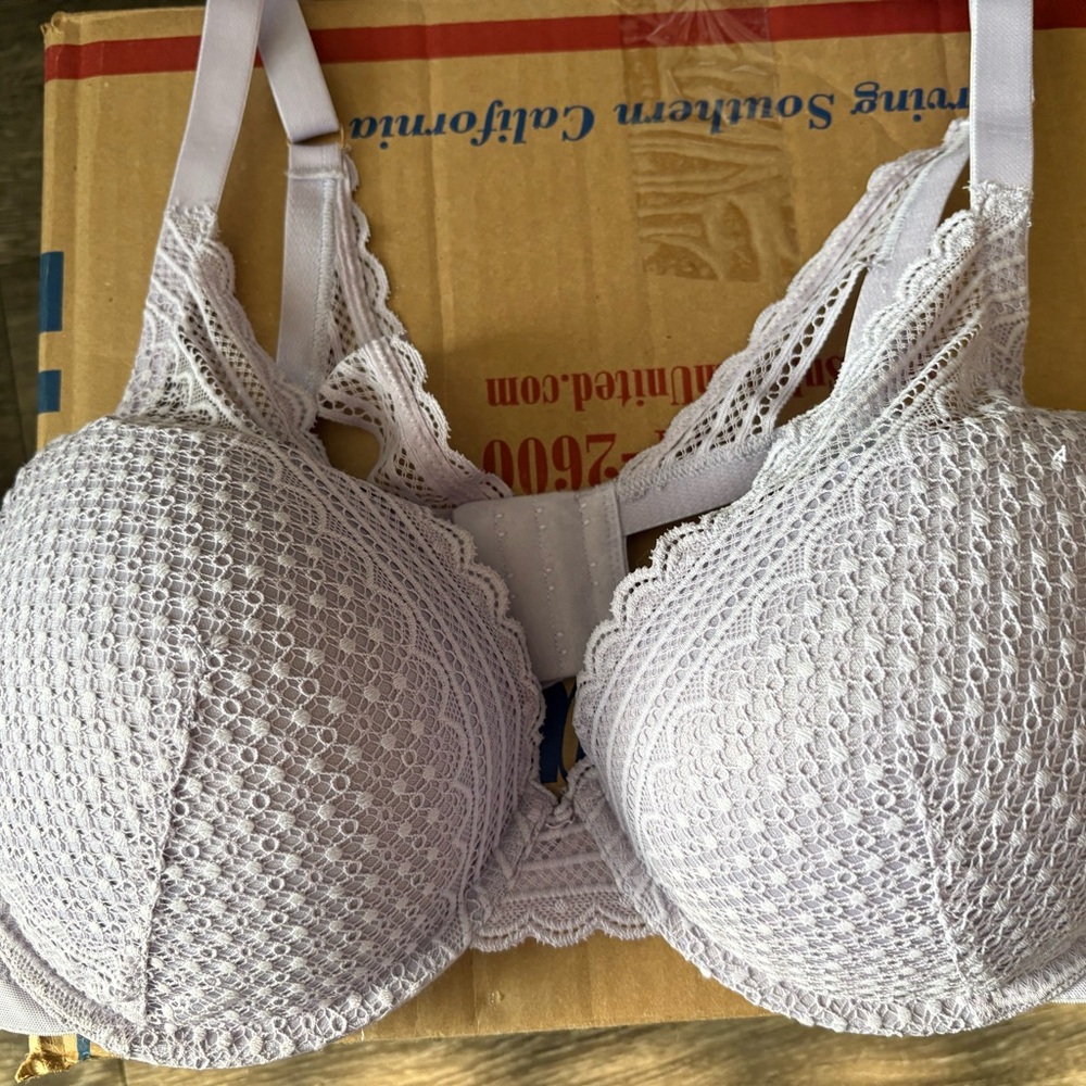 Elegant  Lavender Lace Bra